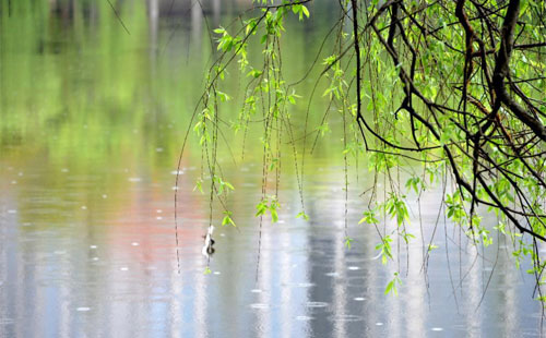 【新創(chuàng)潔環(huán)保】雨天溫馨提示